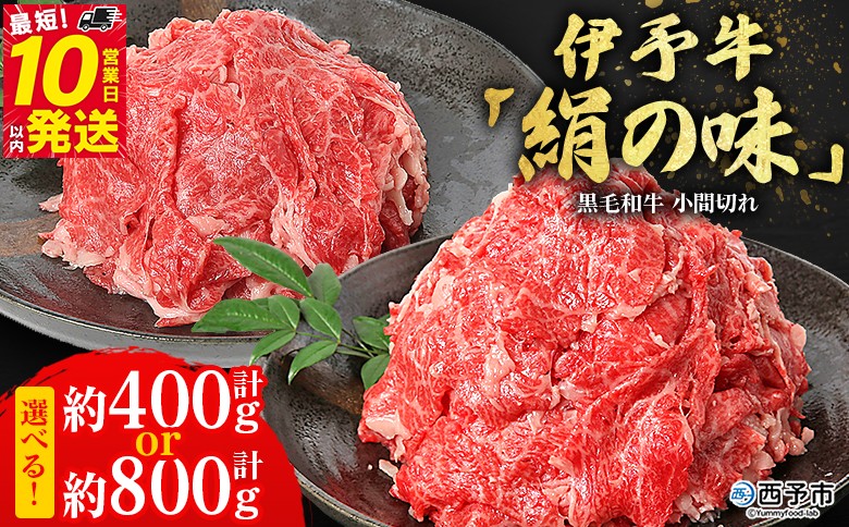 
                  ＜伊予牛「絹の味」黒毛和牛 小間切れ 約400g / 800g＞ 選べる お肉 牛肉 精肉 国産 和牛 ブランド牛 こま切れ 小分け 全国農業協同組合連合会 愛媛県本部／愛媛県 西予市【冷凍】『最短10営業日以内に順次発送』
                