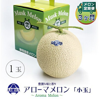 【ふるさと納税】【毎月定期便】アローマメロン(小玉) 1玉 全3回【配送不可地域：離島・北海道・沖縄県】【4013007】