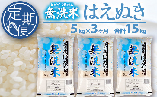 【3回定期便】無洗米 はえぬき 5kg×3回 (計15kg) SA SF0358