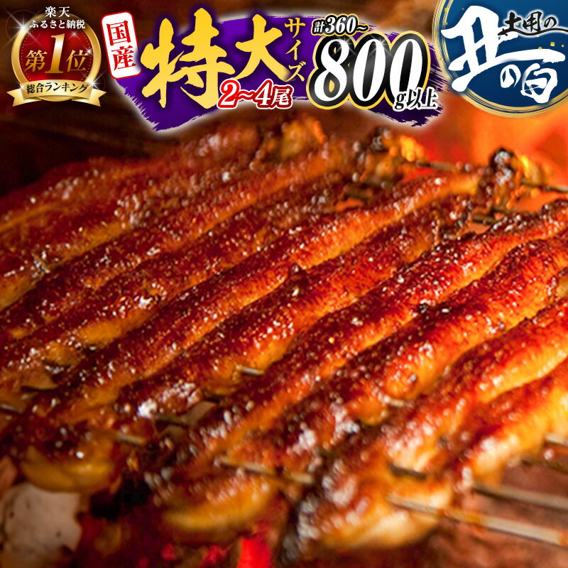 新富町産うなぎ蒲焼4尾 合計760g以上