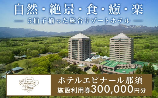 ホテルエピナール那須施設利用券(300,000円分) ｜宿泊券 旅行券 チケット 旅行 券 利用券 補助券 宿泊ギフト券 チケット 旅 温泉 宿泊 観光 リゾートホテル リゾート リラックス プレミアム 贅沢 温泉体験 プライベート 記念日 特別 豪華 おもてなし 癒し 家族旅行 国内旅行 那須町 那須 栃木県 ホテル エピナール エピナール那須 〔P-178〕