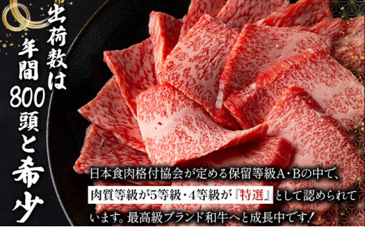 【2025年11月以降順次発送】特選石垣牛の贅沢なお肉付き牛スジをご家庭で！！牛スジ500g×2パック | 沖縄 石垣 牛スジ 牛 肉 特選 黒毛 和牛 贅沢 | IM-20