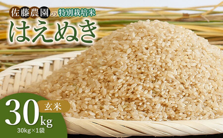 【令和7年産】特別栽培米はえぬき 玄米 30kg(30kg×1袋)　山形県鶴岡市 佐藤農園