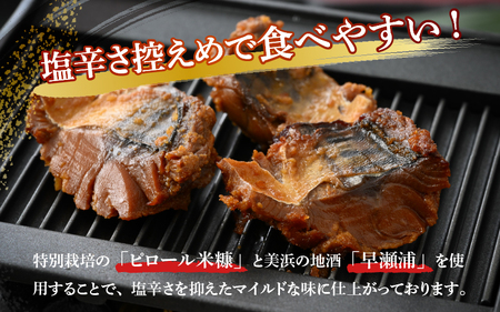【へしこの町】【若狭美浜特産】鯖のへしこ 3種 計9個(1/4切れ3個 スライスパック3個 フレーク 3個) さば サバ 福井 美浜 若狭 名産 郷土料理 ぬか漬け 糠漬け 発酵 米麹 ピロール米 早