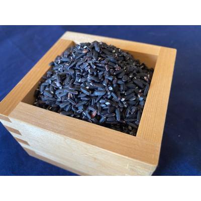 ふるさと納税 池田町 風さやか白米3kg　と　古代紫米200gのセット　