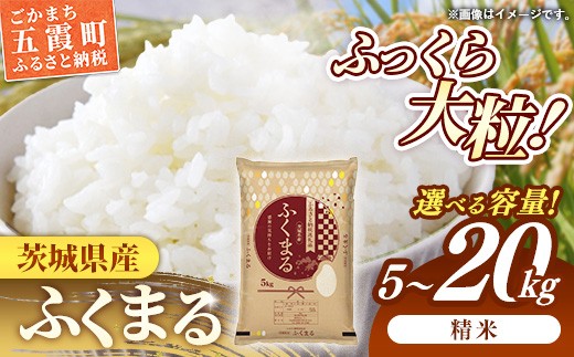 
                  令和7年産 茨城県産 ふくまる ／ 選べる容量 5kg 10kg 15kg 20kg ／ 5kgずつ お米 精米 特A米 特A 特A評価 単一米 銘柄米 ブランド米 旨味 美味しい 茨城県 五霞町【価格改定X】
                
