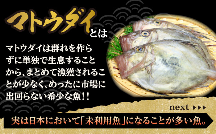 平戸干物 5種 29枚【井吉水産】[KAA075]/ 長崎 平戸 魚介類 魚 干物 開き あじ干物 いわし干物 マトウダイ干物 鯛干物 たい干物 さば干物