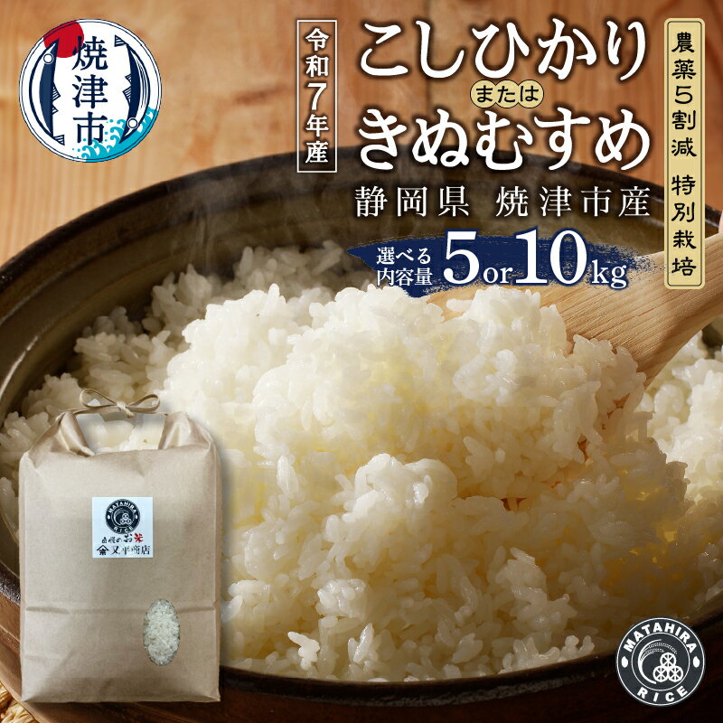 【ふるさと納税】 【選べる内容量】 令和7年産 米 白米 コシヒカリ きぬむすめ 5kg 10kg（5kg×2袋） 農薬5割減 特別栽培 安心 安全 こだわり 減農薬 ごはん 焼津 a18-098
