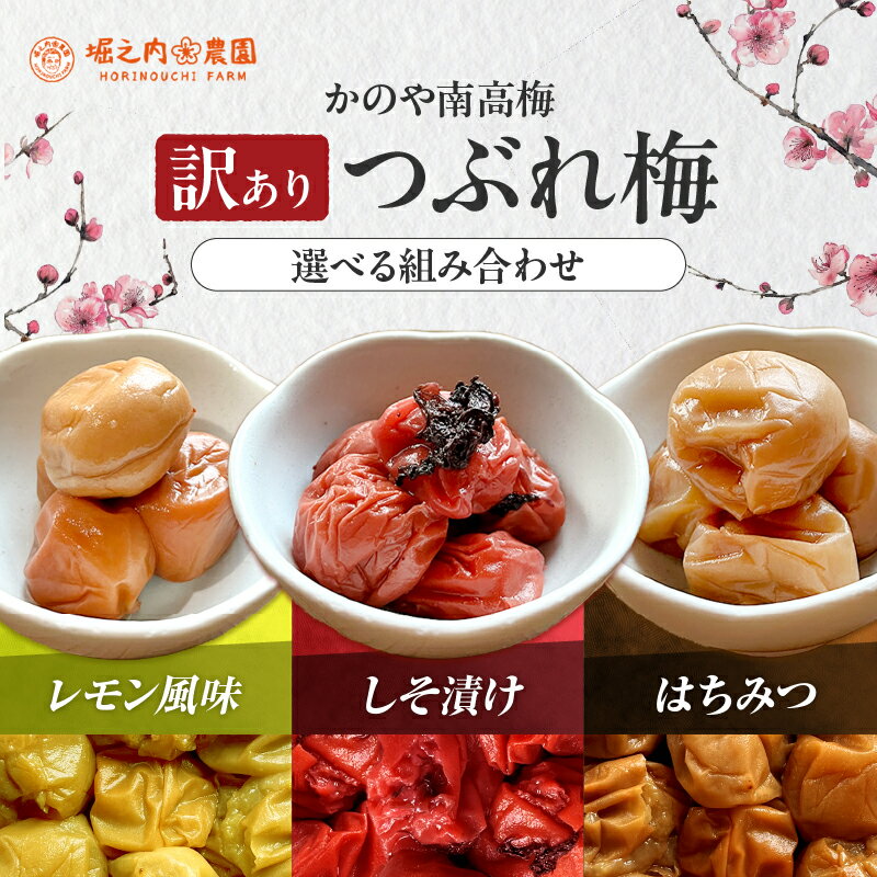 【ふるさと納税】選べる＜訳あり＞ つぶれ梅 梅干し かのや南高梅 食べ比べ 梅 国産 鹿児島県産 小分け 天然 梅干し うめぼし ハチミツ 蜂蜜 シソ しそ レモン風味【有限会社堀之内農園】