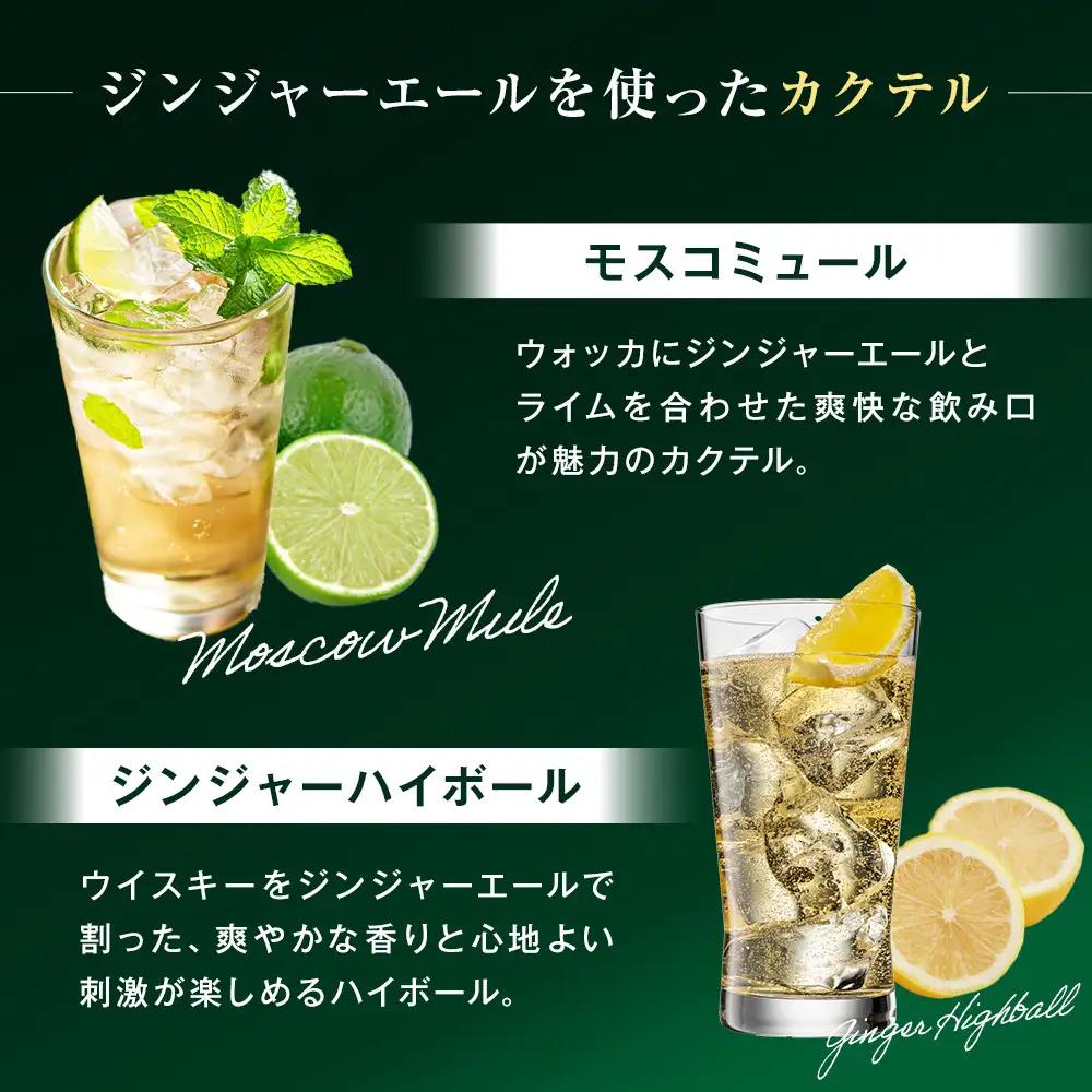 カナダドライ ジンジャーエール 500mlPET×24本×2箱　【11100-0570】リフレッシュ 炭酸飲料 ケース 箱買い まとめ買い 備蓄 飲料 ソフトドリンク ギフト ふるさと納税 さいたま市