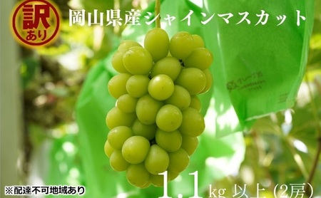 訳あり シャインマスカット 2房 合計1.1kg以上 岡山県産 シャインマスカット