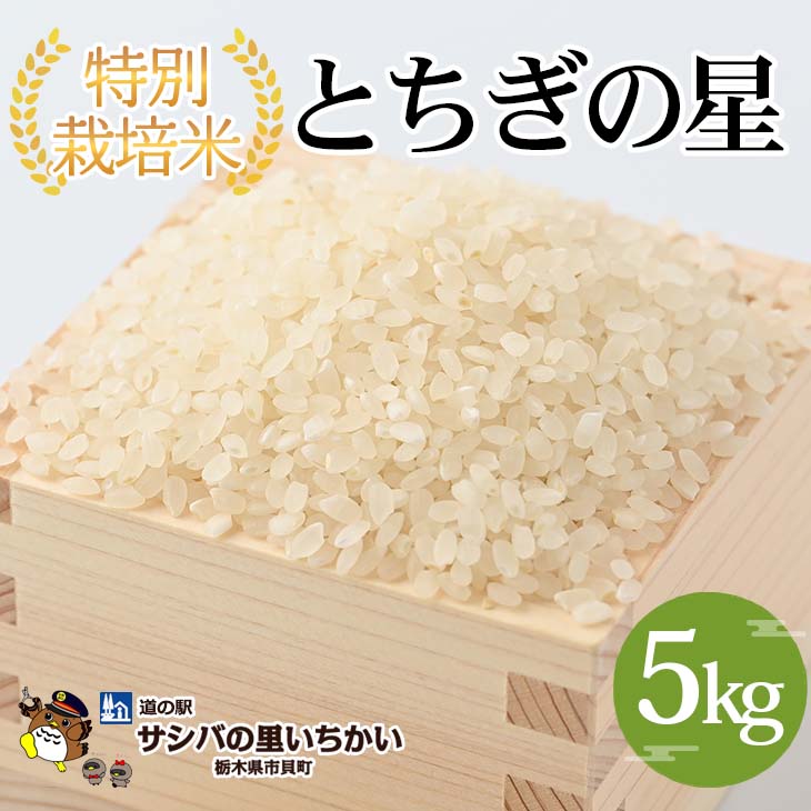 【ふるさと納税】特別栽培米〈とちぎの星〉5kg | 国産 栃木県産 とちぎの星 米 お米 特別栽培米 精米 白米 栃木米 とちぎ米 米の食味ランキング特A評価 産地直送 送料無料 ※離島への配送不可 ※2025年9月中旬頃より順次発送予定
