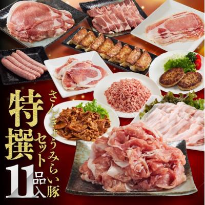 ふるさと納税 川南町 さんきょうみらい豚 『特撰セット』