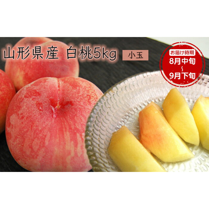 【ふるさと納税】《先行予約 2026年度発送》【山形県産】白桃5kg(小玉20～25玉) もも モモ 桃 デザート フルーツ 果物 くだもの 果実 食品 山形県 FSY-2501
