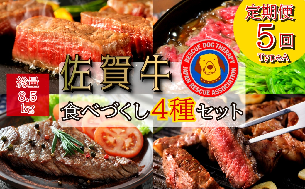 
            【定期便セット】全5回　佐賀牛食べづくし4種セット総計8.5kg：TypeA(ヒレ240g、ロース340g、ランプ520g、すき焼き肉600g）

          