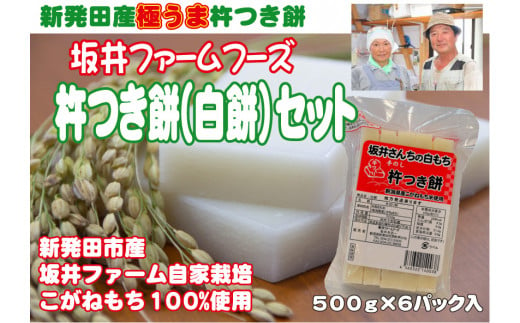 杵つき餅(白餅) ６袋 【 ふるさと直送 産地直送 もち 餅 セット 詰め合わせ 3kg 正月 せいだ 新潟 新発田 C53