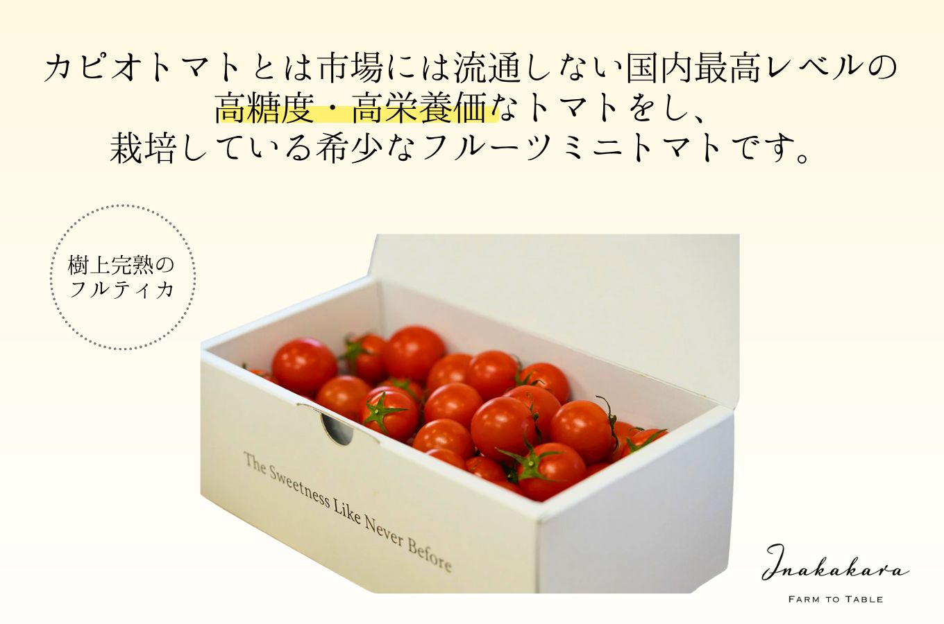 【山梨県南部町 共通返礼品】【カピオトマト】プレミアムフルティカ Mサイズ 500g 株式会社アクロプラス [5839-2225]