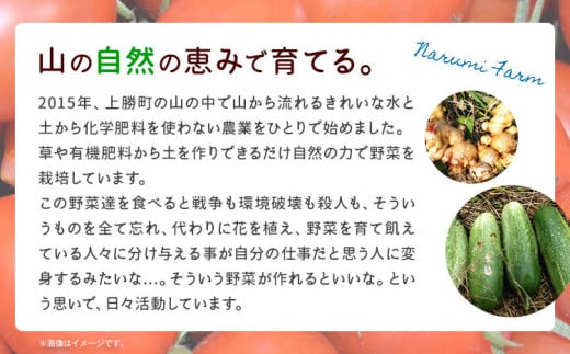 山茶 桑 1パック NARUMIFARM《30日以内に出荷予定(土日祝除く)》｜ お茶 茶 ハーブティー 自然栽培 ブレンドティー ブレンド オーガニック 飲料 飲み物 お家時間 徳島県 上勝町 送料