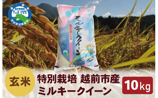 【令和7年度 新米・玄米】特別栽培 越前市産ミルキークイーン 10kg