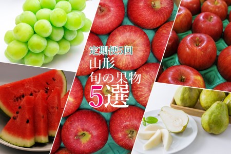【2026年発送】【定期便5回】山形旬の果物5選（すいか/シャインマスカット/りんご2種/ラ・フランス）_H147(R8)