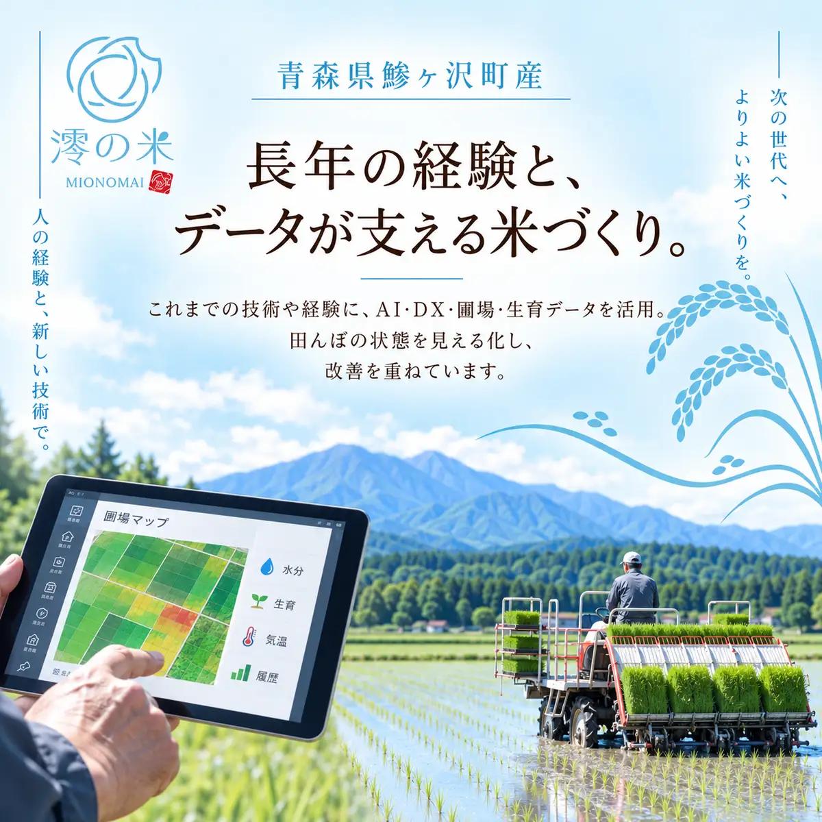 【6回定期便】米 10kg 玄米 はれわたり イワモトファーム 青森県産 令和8年産 6ヶ月 定期便 新米 健康 栄養 食物繊維 ブランド米 直送 農家直送 お取り寄せ お米 こめ コメ 国産 もっち