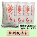 【ふるさと納税】特別栽培米★精米30kg（白米/5分/7分ツキ可）【夢ごこち】 玄米は別に出品　 お米 ブランド米 銘柄米 ご飯 モッチリ 甘い 低アミロース米 冷めても美味しい 　お届け：2024年10月上旬～2025年9月下旬