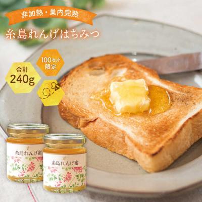 ふるさと納税 糸島市 糸島れんげはちみつ120g×2【ヴァンベールフーズ】蜂蜜[AFJ003]