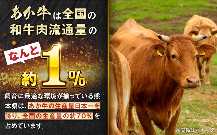 【全6回定期便】熊本県産 あか牛 ロースステーキ セット 計400g ( 200g × 2枚 ) 冷凍 専用タレ付き あか牛のたれ付き 熊本和牛【有限会社 三協畜産】[YCG070]