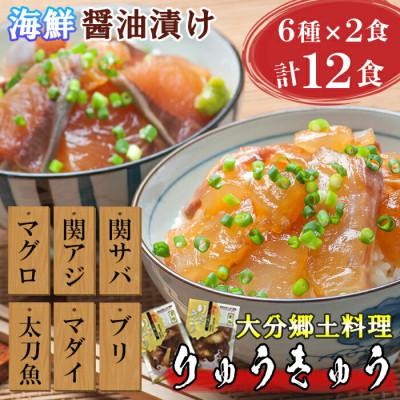 ふるさと納税 杵築市 豊後絆屋　大分郷土料理りゅうきゅう漬けセット(6種×2食)