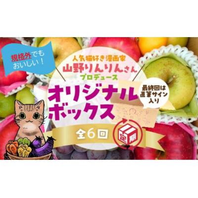 ふるさと納税 山口市 山野りんりん直筆サイン入り規格外でも美味しい　SDGsなフルーツ定期便(6回) B088