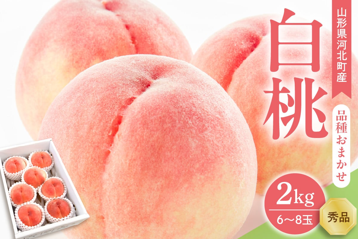 
            【令和7年産】白桃 品種おまかせ 2kg (6~8玉前後) ギフト箱入 秀品 山形県産 【山形eLab】
          