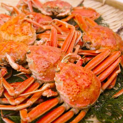 ふるさと納税 森町 【訳あり】浜茹でオオズワイガニ 2.0kg 詰め込みセット 北海道噴火湾産 |  | 01