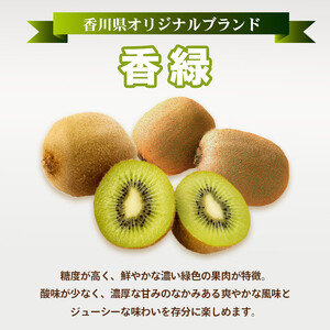 先行予約 キウイフルーツ 香緑 約750g キウイ
