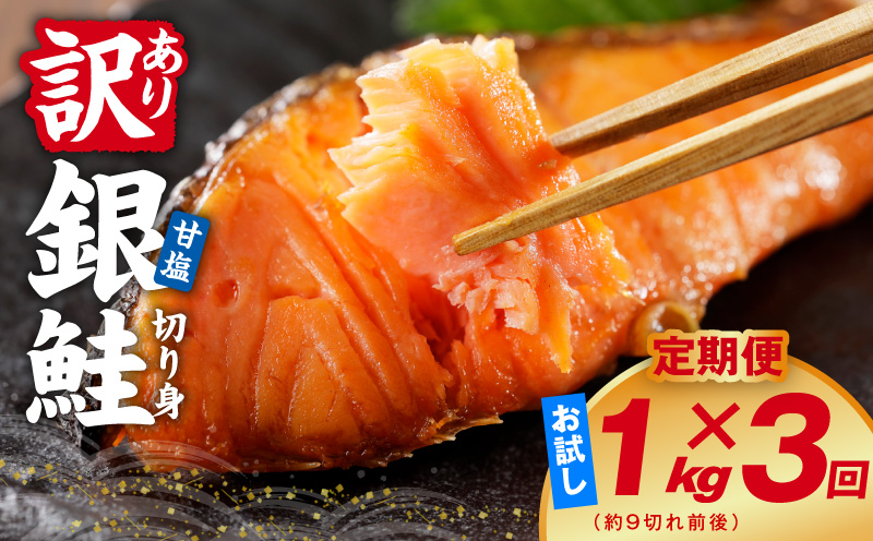 【定期便】銀鮭 切り身 1kg(約9切れ前後) 全3回【訳あり 規格外 甘塩 バラ凍結 海鮮 魚介 鮭 さけ しゃけ お弁当 朝食 おかず 簡単調理 家計応援 大阪 泉佐野 大阪府 泉佐野市】