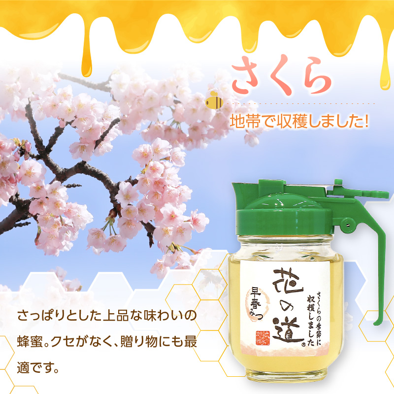 国産純粋蜂蜜 早春みつ 210g 非加熱 はちみつ ハチミツ 生はちみつ ローハニー オススメ 贈答 贈り物 プレゼント 八女市