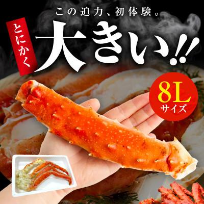 ふるさと納税 泉佐野市 大型ボイルタラバガニ 2kg 8Lサイズ 昆布仕立て 化粧箱入り ギフト kgp0060 |  | 01