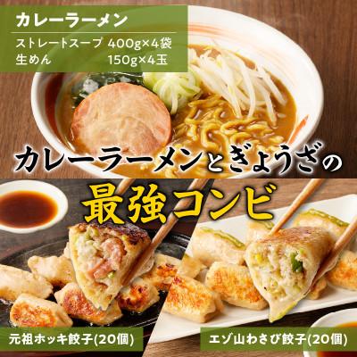 ふるさと納税 苫小牧市 カレーラーメンと餃子 Cセット |  | 01
