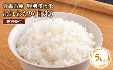 ≪令和8年産 先行予約≫2月上旬よりお届け! 　特別栽培米 はれわたり白米5kg【青森県 平川市】先行予約 米 お米 精米 青森県産 産地直送 おにぎり 朝ご飯 冷めてもおいしい ご飯  コメ こめ 白米 ごはん ブランド米 特A 特A米 お取り寄せ グルメ