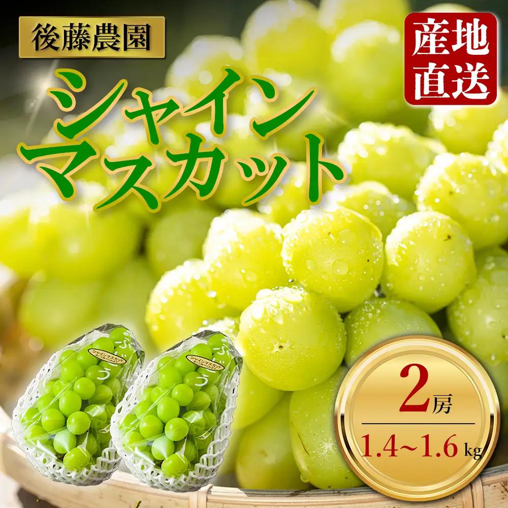 「後藤農園」 シャインマスカット 2房 約1.4kg～約1.6kg希少 ぶどう 新鮮 期間限定 皮ごと ブドウ お取り寄せ 熊本県 阿蘇市