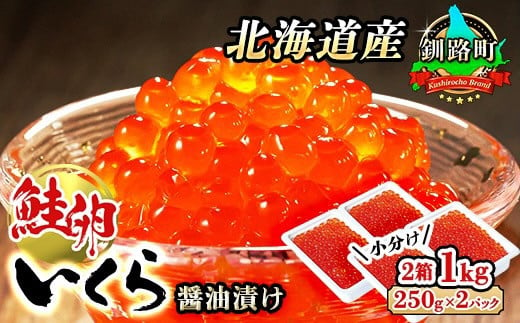 
【発送月が選べる】 北海道産 いくら醤油漬け 1kg（250g ×2パック ×2箱） | 発送月 指定 国産 いくら イクラ 天然 鮭 サーモン 鮭卵 鮭いくら お徳用 大容量 小分け サイズ 米 無洗米 おせち 御節 お節 ホタテ カニ との相性◎ 冷凍 高級 絶品 釧路町 釧之助本店 せんのすけ ワンストップ オンライン申請 オンライン 申請 38,000円 38000円 40,000円以下
