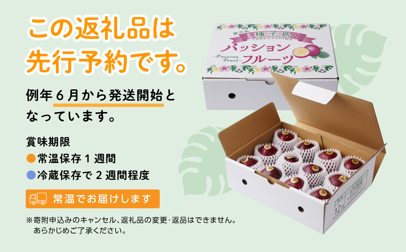 令和6年産 種子島産パッションフルーツ1ケース （12個入り）【新栄物産】