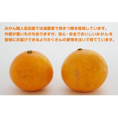 ふるさと納税 愛南町 【訳あり】みかん職人の夢オレンジ 3kg オレンジ みかん 柑橘 愛南町 みかん職人武田屋 |  | 03