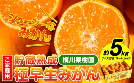 貯蔵熟成 極早生みかん(日南1号) 約5kg S～2L 家庭用 サイズ混合 横川果樹園