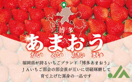 博多あまおう（春） 約250g～270g×4パック 計約1kg～1.08kg【2026年2月上旬-4月下旬発送予定】いちご 苺 イチゴ 果物 フルーツ