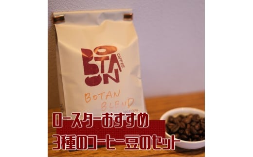 12-53_ロースターおすすめ3種のコーヒー豆のセット｜ コーヒー 珈琲 おすすめ 焙煎 コーヒー豆 珈琲豆 3種 自家焙煎 飲料  珈琲ボタン 飲み比べ セット 犬山市 城下町 愛知県
