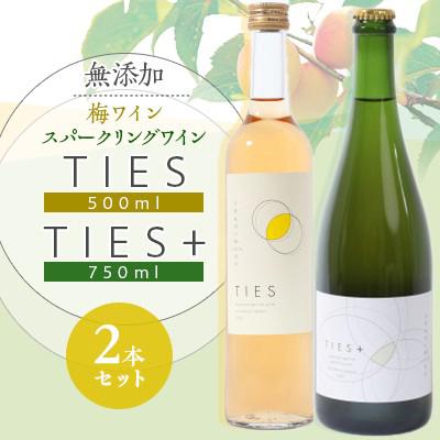 ふるさと納税 若狭町 Japanese apricot wine 'TIES'500ml 'TIES+' 750mlセット