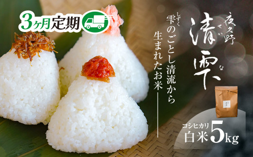 ＜令和7年9月末より発送予定！＞【３ヶ月定期便】京都夜久野産　清雫（せいな）　コシヒカリ＜白米5kg×3回＞/  令和7年度産 先行 定期 5kg 収穫 3回 白米 夜久野 京都 京都府 福知山 FCDB030