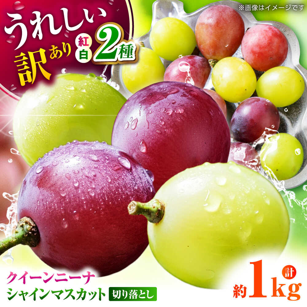 【ふるさと納税】【先行予約】 訳あり 紅白ぶどう2種（シャインマスカット＆クイーンニーナ）食べ比べ 切り落とし 計約1kg 【合同会社 社方園】[ZBZ041]