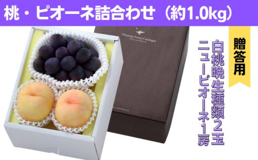 詰合せ 白桃 晩生種 2玉 ニューピオーネ 1房 合計約1.0kg 岡山県産 【先行予約 2026年8月下旬から順次発送】