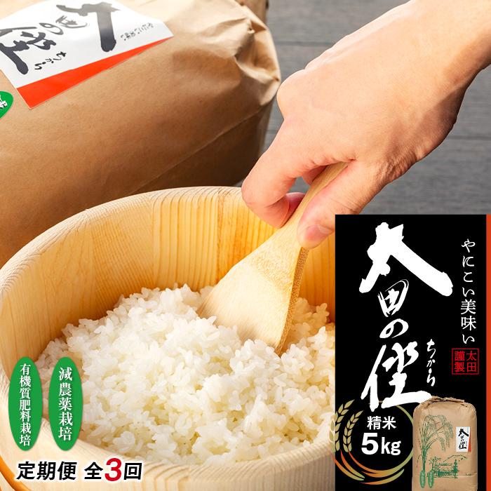【ふるさと納税】【定期便　全3回】『太田のちから』5kg　減農薬栽培・有機質肥料栽培のコシヒカリ